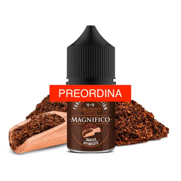 Magnifico 10+10